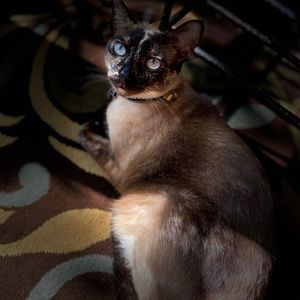 💐 OFFERS WELCOMED HERE!!! -MIKO💐
